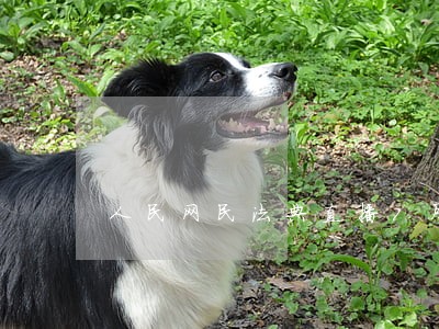 人民网民法典直播7月29号 人民网民法典直播7月29号