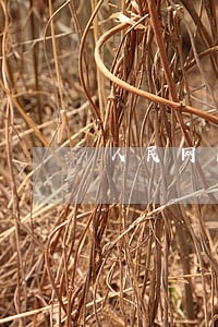 人民网民法典直播视频 人民网民法典直播视频
