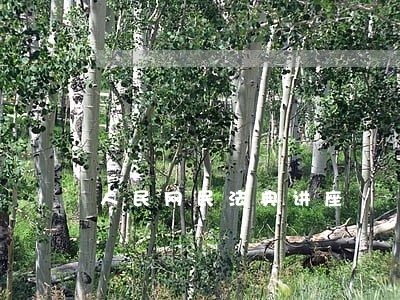 人民网民法典讲座 人民网民法典讲座