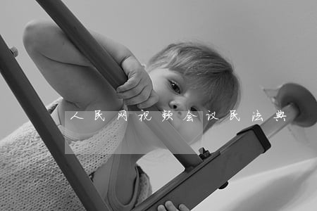 人民网视频会议民法典 人民网视频会议民法典