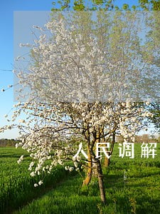 人民调解协议经司法确认后