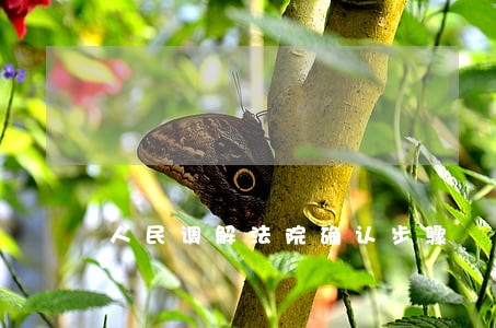 人民调解法院确认步骤