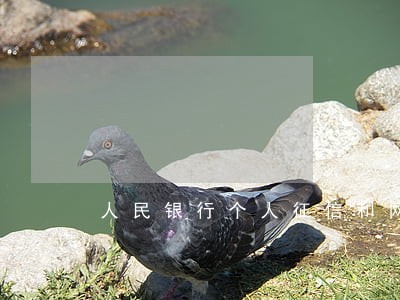 人民银行个人征信和网贷逾期 人民银行个人征信和网贷逾期