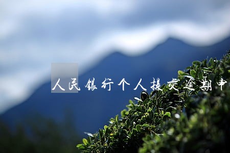 人民银行个人提交逾期申请 人民银行个人提交逾期申请