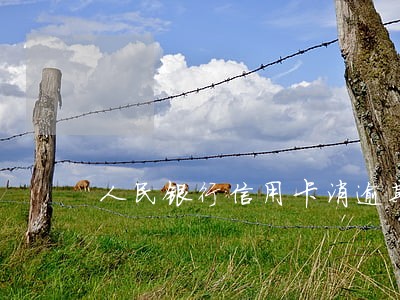 人民银行信用卡消逾期 人民银行信用卡消逾期