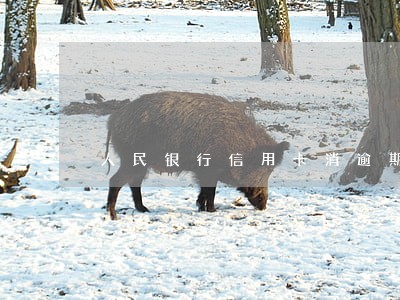 人民银行信用卡消逾期记录 人民银行信用卡消逾期记录