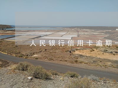 人民银行信用卡逾期一天会怎么样