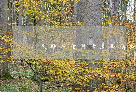 人民银行信用卡逾期消除 人民银行信用卡逾期消除