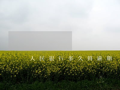 人民银行多久算逾期 人民银行多久算逾期