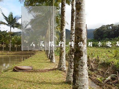 人民银行对信用卡逾期修复的条例 人民银行对信用卡逾期修复的条例