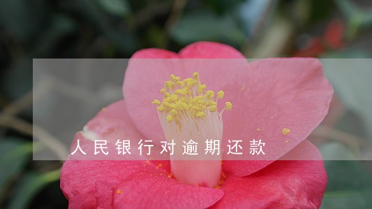 人民银行对逾期还款 人民银行对逾期还款