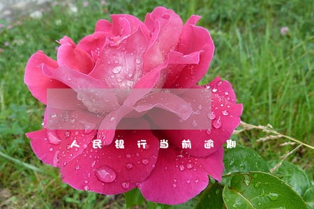 人民银行当前逾期 人民银行当前逾期