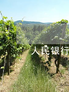 人民银行征信多久算严重逾期 人民银行征信多久算严重逾期