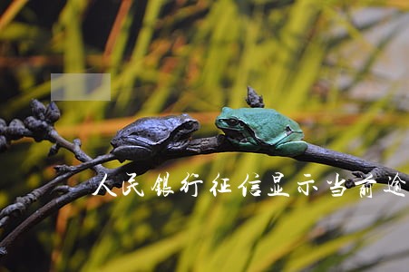 人民银行征信显示当前逾期 人民银行征信显示当前逾期