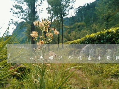 人民银行征信显示贷款以逾期 人民银行征信显示贷款以逾期