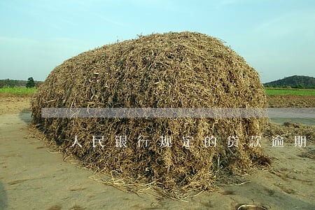 人民银行规定的贷款逾期利息 人民银行规定的贷款逾期利息