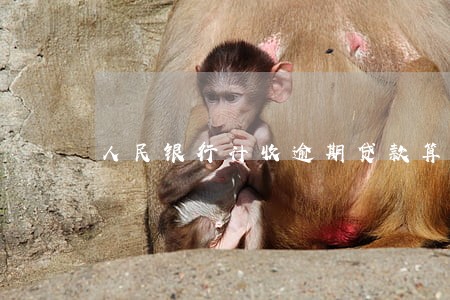 人民银行计收逾期贷款算法 人民银行计收逾期贷款算法