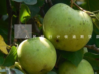 人民银行计收逾期贷款违约金 人民银行计收逾期贷款违约金
