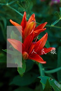 人民银行贷款逾期利息利率 人民银行贷款逾期利息利率