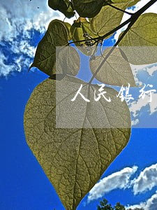 人民银行逾期不良记录 人民银行逾期不良记录