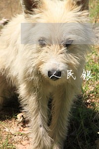 人民银行逾期付款