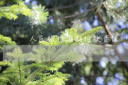 人民银行逾期付款责任 人民银行逾期付款责任