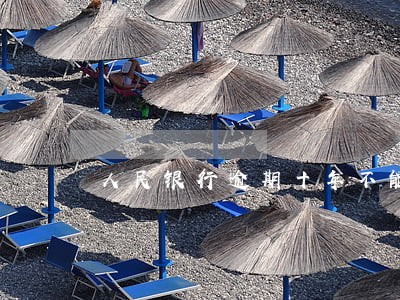 人民银行逾期十年不能贷款