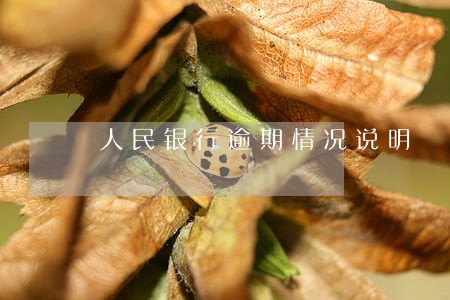 人民银行逾期情况说明 人民银行逾期情况说明