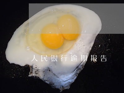 人民银行逾期报告 人民银行逾期报告