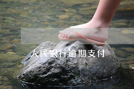 人民银行逾期支付 人民银行逾期支付