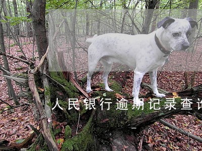 人民银行逾期记录查询 人民银行逾期记录查询
