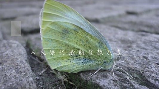 人民银行逾期货款利息