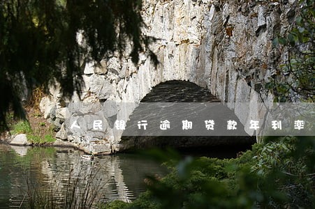 人民银行逾期贷款年利率 人民银行逾期贷款年利率