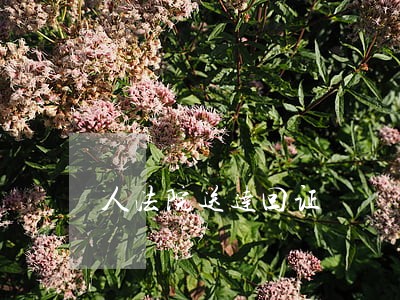 人法院送达回证 人法院送达回证