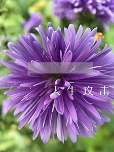 人生攻击可以发律师函嘛 人生攻击可以发律师函嘛
