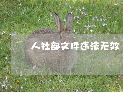 人社部文件违法无效 人社部文件违法无效