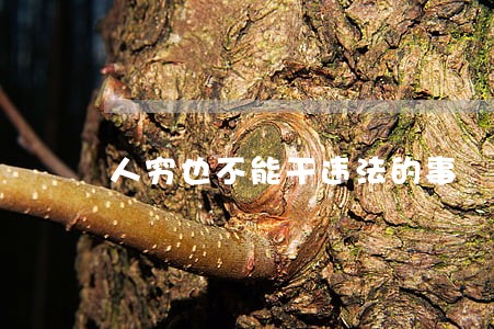 人穷也不能干违法的事 人穷也不能干违法的事