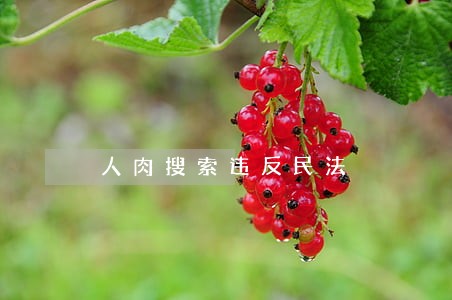 人肉搜索违反民法 人肉搜索违反民法