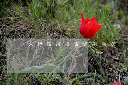 人行信用报告逾期两次 人行信用报告逾期两次