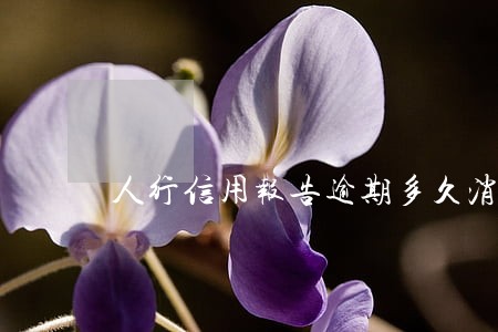 人行信用报告逾期多久消除 人行信用报告逾期多久消除
