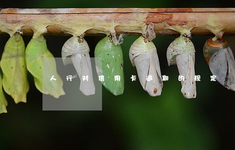 人行对信用卡逾期的规定 人行对信用卡逾期的规定
