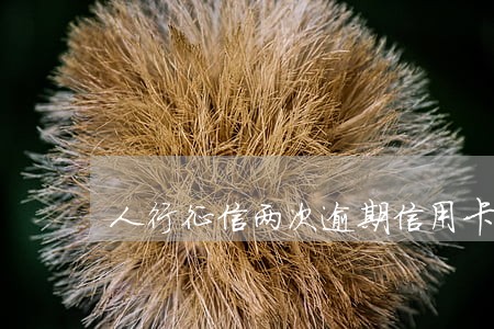 人行征信两次逾期信用卡不能用 人行征信两次逾期信用卡不能用