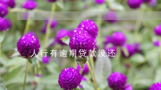 人行有逾期贷款没还 人行有逾期贷款没还