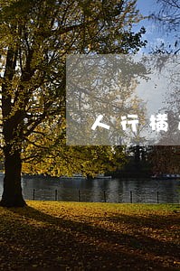 人行横道禁止掉头违法