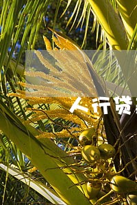 人行贷款逾期违约金 人行贷款逾期违约金