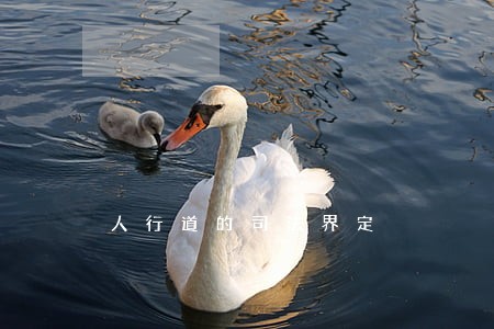 人行道的司法界定 人行道的司法界定