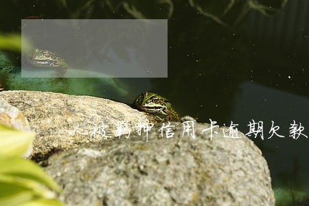 人被羁押信用卡逾期欠款 人被羁押信用卡逾期欠款
