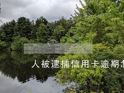 人被逮捕信用卡逾期怎么办 人被逮捕信用卡逾期怎么办