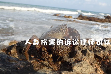 人身伤害的诉讼律师可以代理吗 人身伤害的诉讼律师可以代理吗
