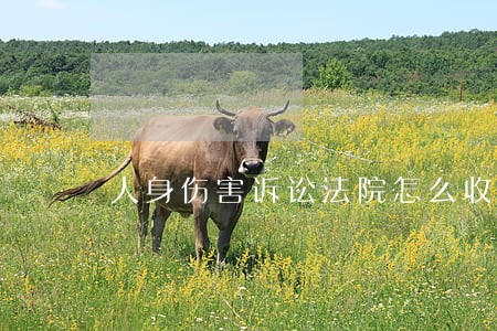 人身伤害诉讼法院怎么收费 人身伤害诉讼法院怎么收费